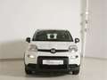 Fiat Panda 1.0 GSE Hybrid Weiß - thumbnail 3