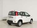 Fiat Panda 1.0 GSE Hybrid Weiß - thumbnail 7