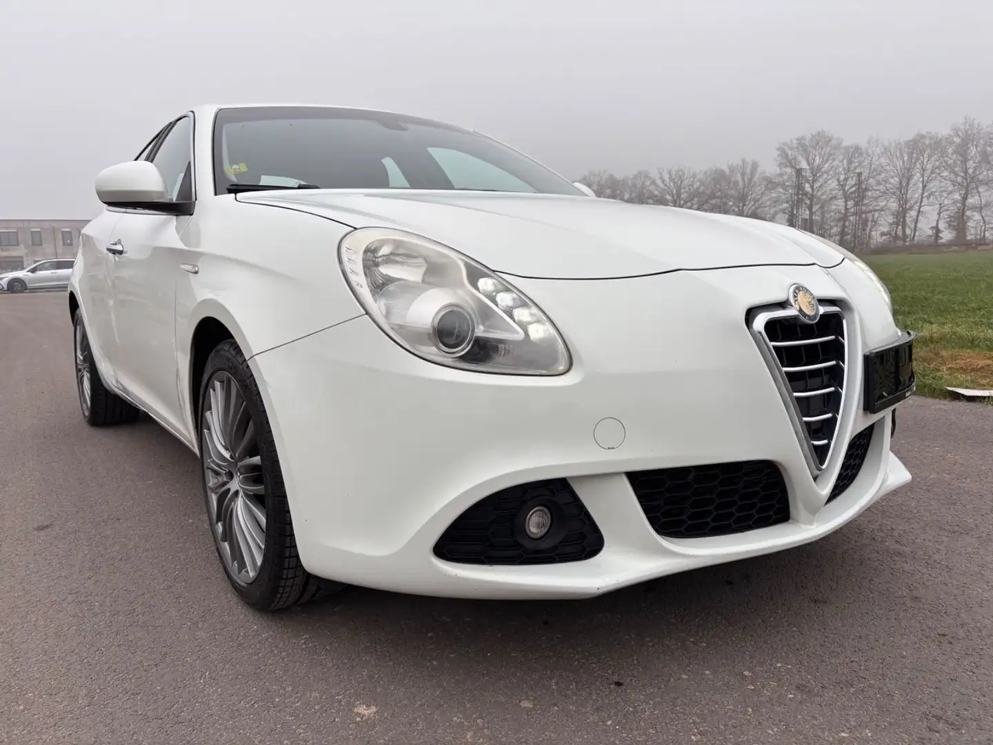 Alfa Romeo Giulietta Turismo 1.6 JTD LED Klimatronik 18" Weiß - 1