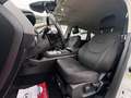 Ford S-Max S-MAX 2,0 EcoBlue Automatik "Busines*LED*Kamera* Argent - thumbnail 16