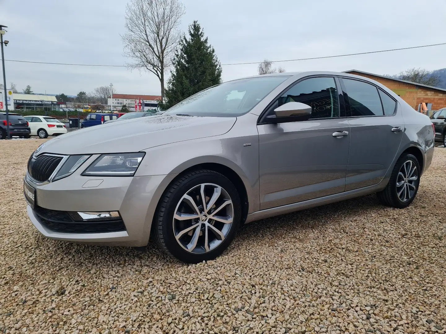 Skoda Octavia Lim. Drive Beige - 1