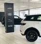 Land Rover Range Rover Evoque 2.0 Si 4WD Dynamic Gris - thumbnail 48