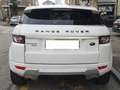 Land Rover Range Rover Evoque 5p 2.2 SD4 Prestige 190cv Bianco - thumbnail 5