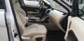 Land Rover Range Rover Evoque 5p 2.2 SD4 Prestige 190cv Bianco - thumbnail 13
