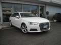 Audi A4 5ª serie Avant 2.0 TDI 190 CV quattro S tronic Bu Blanc - thumbnail 6