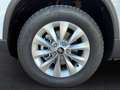 Skoda Karoq 1,0 TSI Selection Weiß - thumbnail 6
