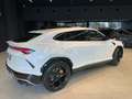 Lamborghini Urus 4.0 Blanc - thumbnail 4
