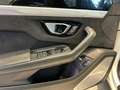 Lamborghini Urus 4.0 Blanc - thumbnail 13