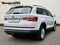 Skoda Kodiaq Ambition 4x4 2.0 TDI Kessy - SHZ - LED - NAVI Weiß - thumbnail 4