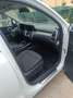 Kia Sorento 1.6 T-GDi HEV Plus Edition 4x2 Plus Edition Blanco - thumbnail 8