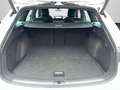 CUPRA Leon Sportstourer 2.0 TDI DSG Navi, Vision Plus, Weiß - thumbnail 15