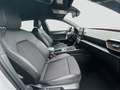 CUPRA Leon Sportstourer 2.0 TDI DSG Navi, Vision Plus, Weiß - thumbnail 4