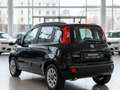 Fiat Panda 1.0 70cv Hybrid Nero - thumbnail 3