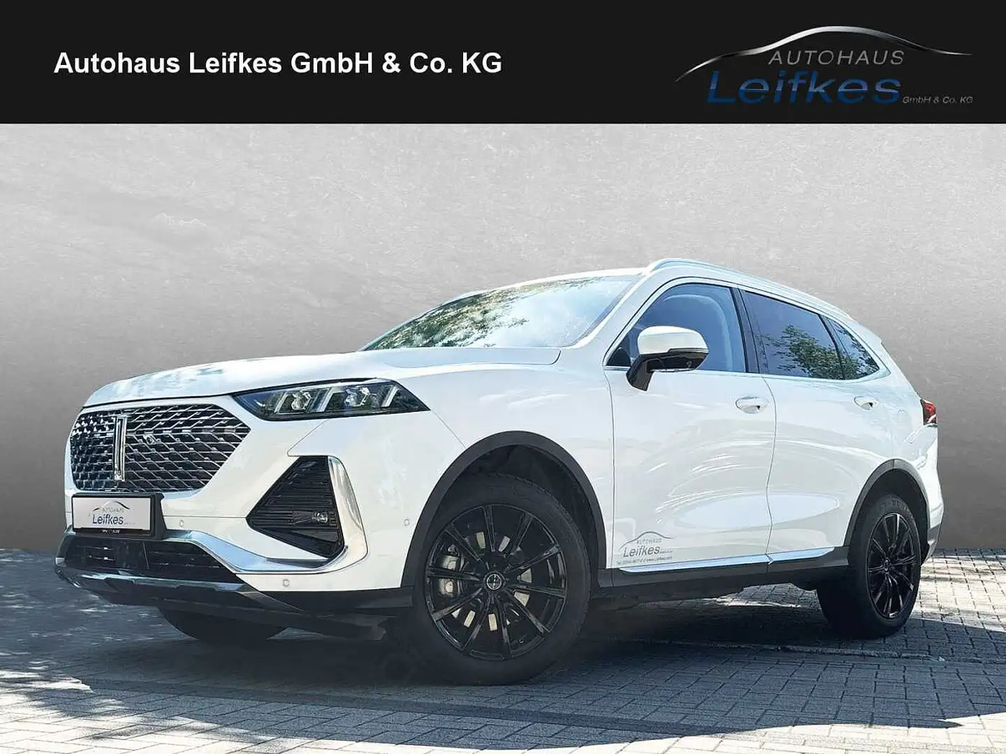 GWM WEY 03 Luxury Blanc - 1