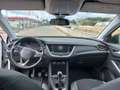 Opel Grandland X 1.5 ecotec Advance s&s 130cv Bianco - thumbnail 5