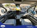 Ford Tourneo Custom Tourneo  130CV PC Titanium trasporto disabili Bronce - thumbnail 22