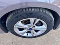 Ford Focus 1.0 EcoBoost Start-Stopp-System Business Edition Gris - thumbnail 23