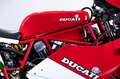 Ducati 750 F1 DUCATI 750 F1 Rot - thumbnail 49