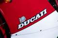 Ducati 750 F1 DUCATI 750 F1 Rot - thumbnail 24