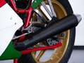 Ducati 750 F1 DUCATI 750 F1 Rood - thumbnail 21