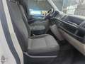 Volkswagen Transporter T-6 (neue Pickerl)EU-6 4x4 Automatik Weiß - thumbnail 15