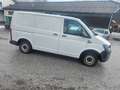 Volkswagen Transporter T-6 (neue Pickerl)EU-6 4x4 Automatik Weiß - thumbnail 4
