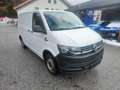 Volkswagen Transporter T-6 (neue Pickerl)EU-6 4x4 Automatik Weiß - thumbnail 3