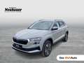 Skoda Karoq 4x4 Selection TDI DSG Grau - thumbnail 1