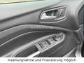 Ford Kuga ST-Line 4x4 AUT.|KAMERA|NAVI|LED|ALLRAD|EU6 Grau - thumbnail 8