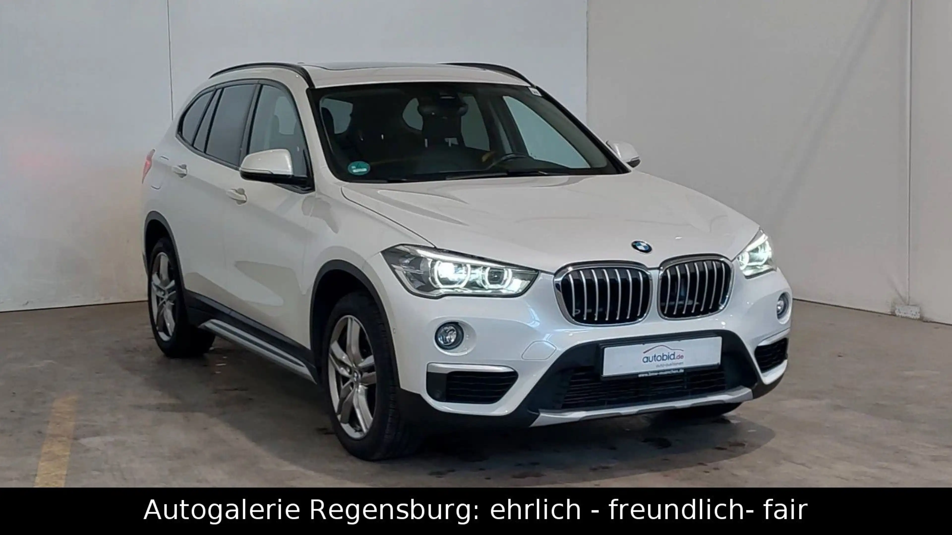 BMW X1 xDrive 20i *X-LINE*PANO*KAMERA*LEDER*HUD*NAVI