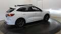 Ford Kuga 2.5 PHEV ST Line Vignale Head-up Trekh Panodak Cam Weiß - thumbnail 23