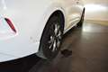 Ford Kuga 2.5 PHEV ST Line Vignale Head-up Trekh Panodak Cam Weiß - thumbnail 43