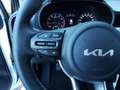 Kia Picanto Vision 1.0 Navi Apple CarPlay Android Auto Klimaau Weiß - thumbnail 12