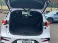 BYD Tang TANG EV AWD 7-Seat Panorama Ambient FACELIFT Blanc - thumbnail 14