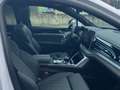 BYD Tang TANG EV AWD 7-Seat Panorama Ambient FACELIFT Blanc - thumbnail 11