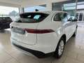 Jaguar F-Pace 2.0 D 204 CV AWD aut. Weiß - thumbnail 3