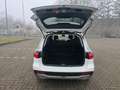Mercedes-Benz GLB 220 d Progressive Ambiente Panoramadach Navi Weiß - thumbnail 9