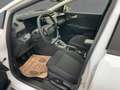 Ford Puma Titanium 1l 125PS M6 Weiß - thumbnail 9