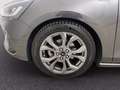 Ford Focus 1.5 ecoblue ST-Line 115cv auto Grau - thumbnail 10