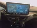 Ford Focus 1.5 ecoblue ST-Line 115cv auto Grau - thumbnail 15