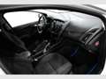 Ford Focus 1.0 Ecoboost Auto-S&S Trend+ 125 Blanco - thumbnail 11