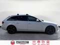 Audi A4 Avant 2.0TDI Blanco - thumbnail 6