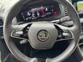 Skoda Karoq 2,0 TDI 4x4 DSG*LED*ACC*RFK* Schwarz - thumbnail 22