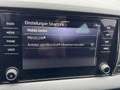 Skoda Karoq 2,0 TDI 4x4 DSG*LED*ACC*RFK* Schwarz - thumbnail 18