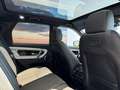 Land Rover Discovery Sport P300e R-Dyn SE AHK Matrix-LED Pano Blau - thumbnail 15