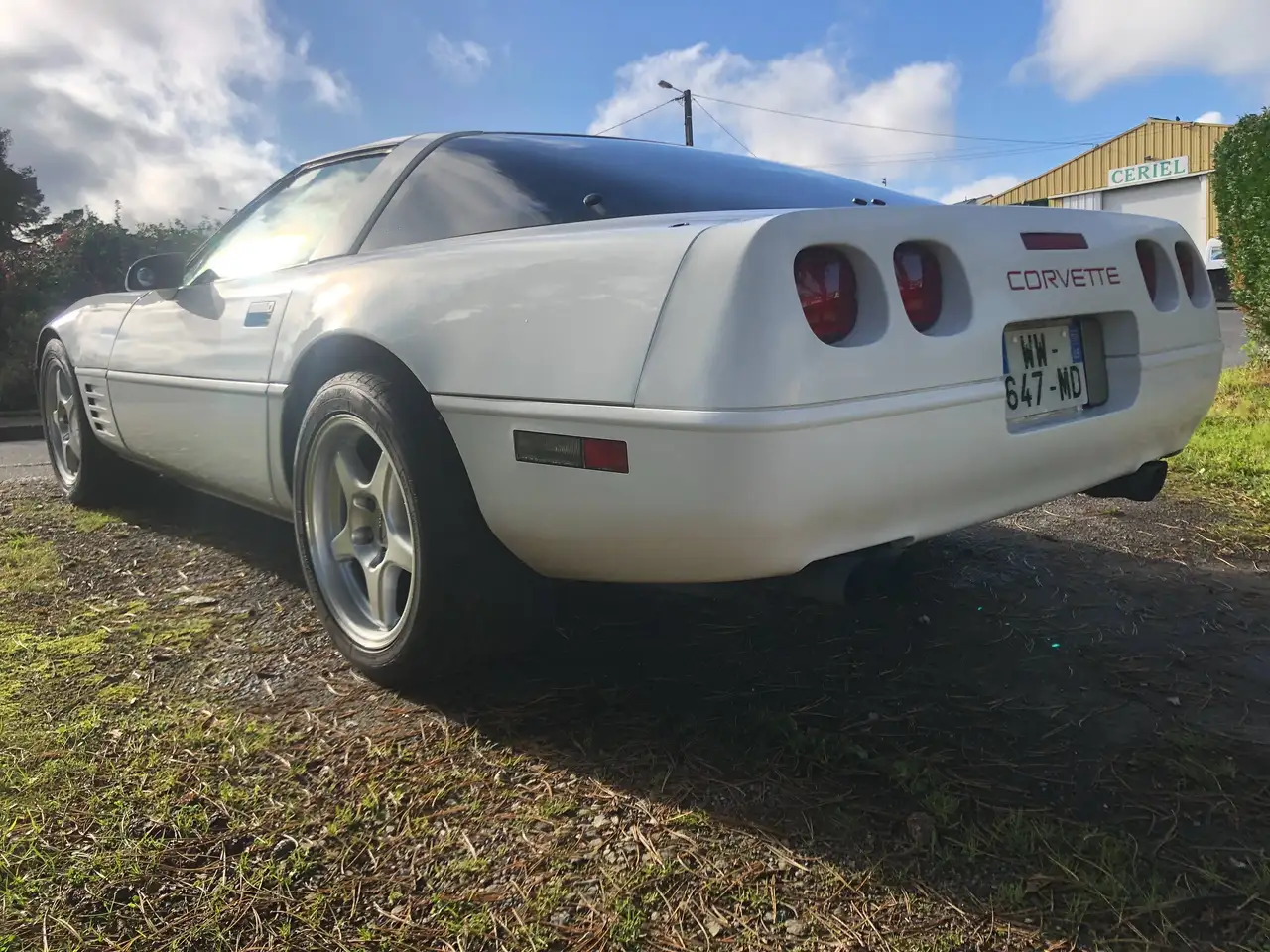 Chevrolet Corvette C4 5.7 V8 PHASE 2, foto 6