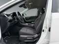 Toyota RAV 4 RAV4 2.5 Business Edition ++SHZ++Allwetter++PDC++ Weiß - thumbnail 10