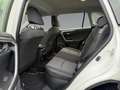 Toyota RAV 4 RAV4 2.5 Business Edition ++SHZ++Allwetter++PDC++ Weiß - thumbnail 14
