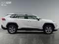 Toyota RAV 4 RAV4 2.5 Business Edition ++SHZ++Allwetter++PDC++ Weiß - thumbnail 7