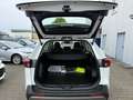 Toyota RAV 4 RAV4 2.5 Business Edition ++SHZ++Allwetter++PDC++ Weiß - thumbnail 20